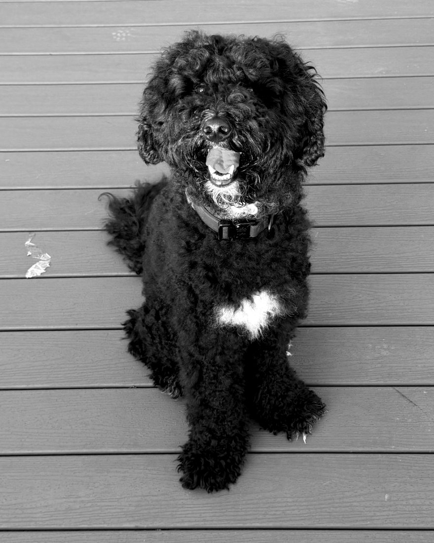 Benny
