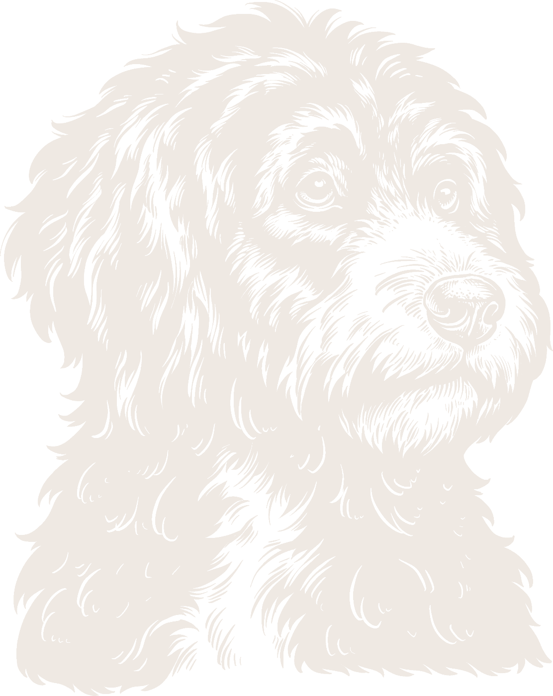 Black Dog Records